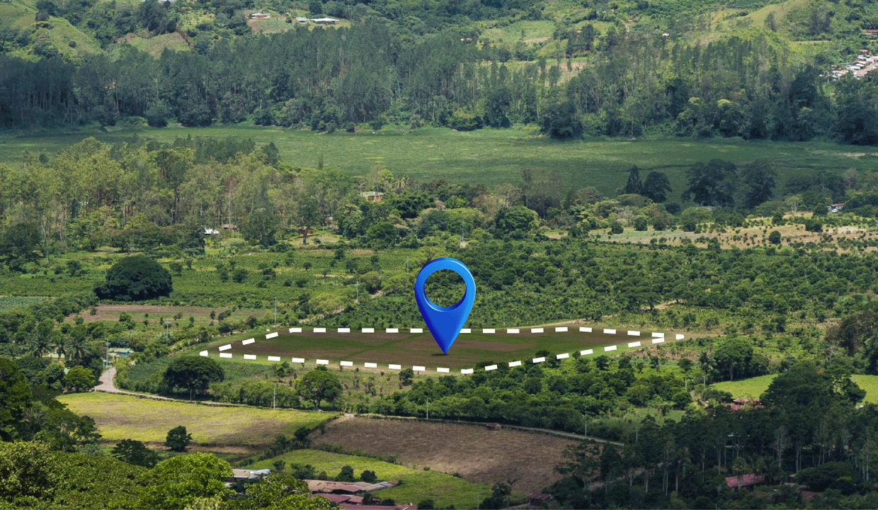 Fundo La Rinconada – Lote 4: 550M2 Cafetal Plano