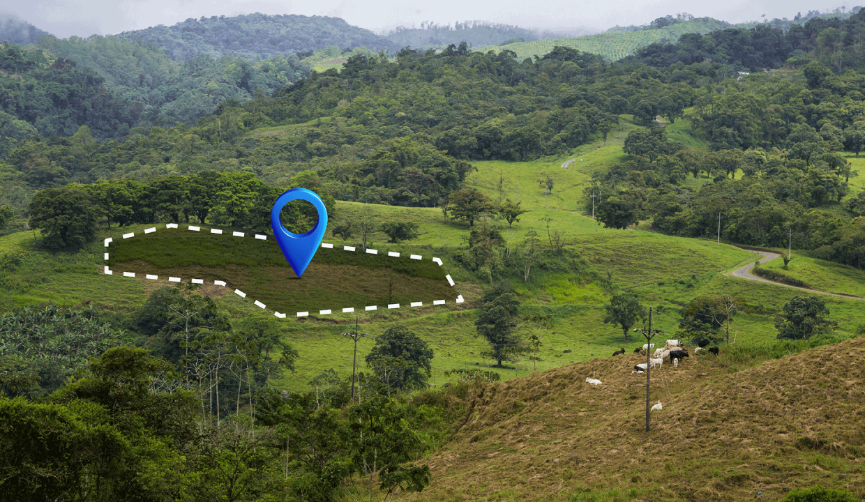 Fundo La Rinconada – Lote 3: 790m2 , Cafetal Loma