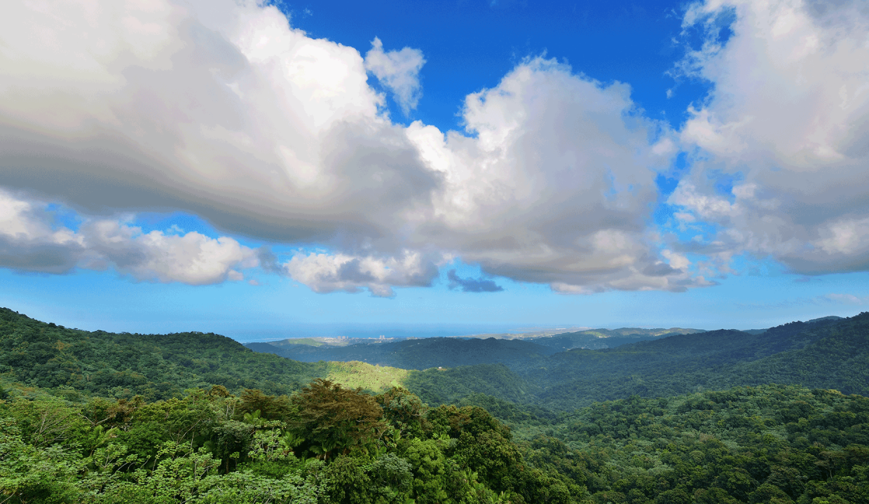 Chanchamayo