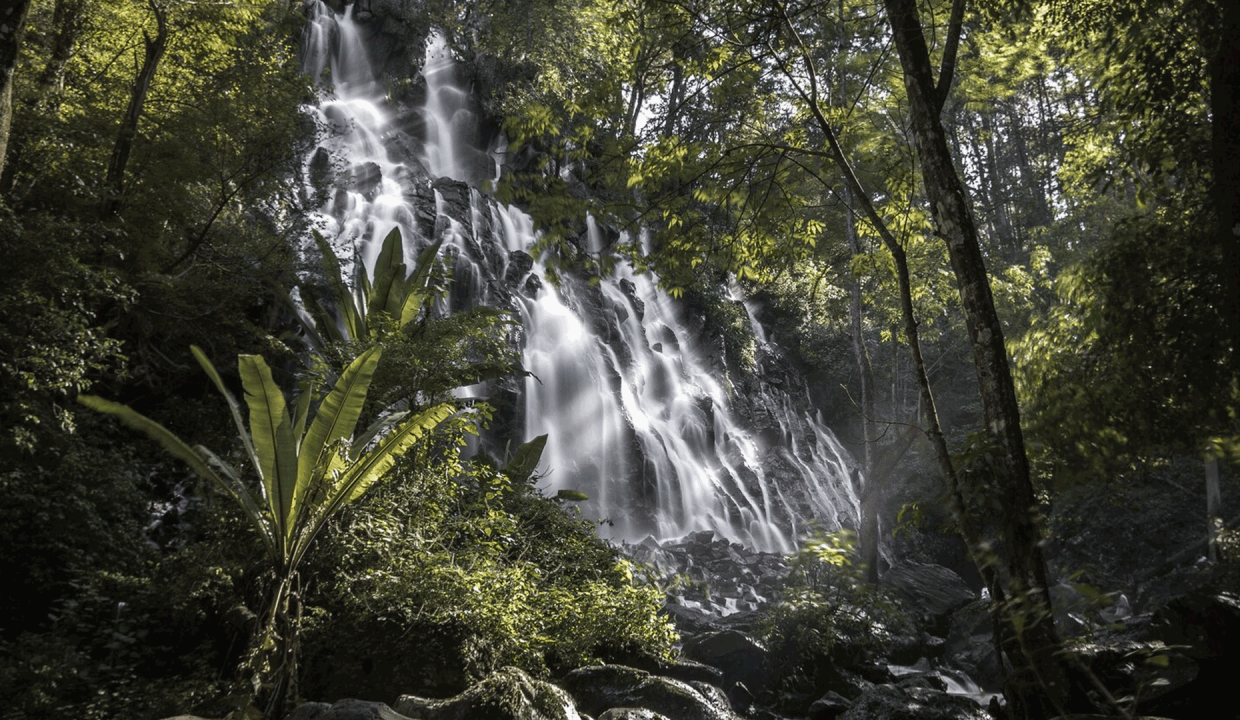 Cascadas en San Ramón