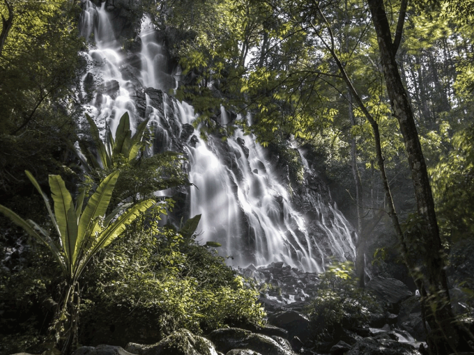 Cascadas en San Ramón