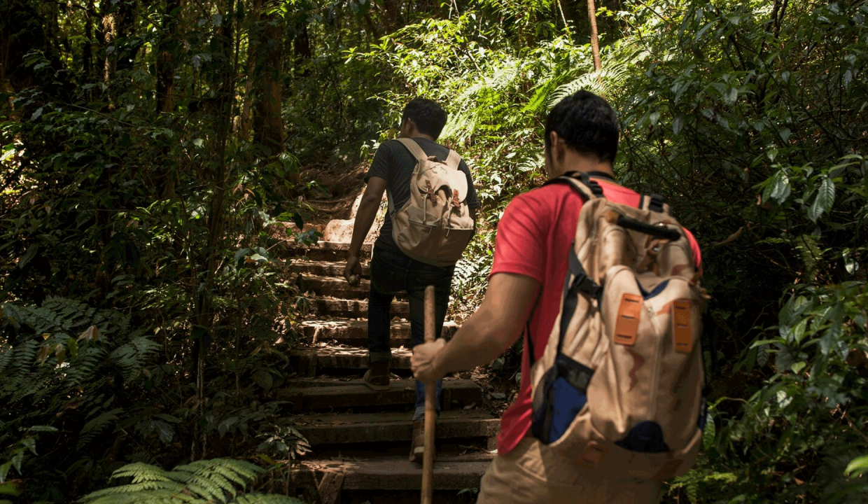 Rutas de Trekking en San Ramón